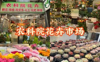 买花草盆栽去哪个网站靠谱？