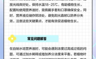 水培营养液能直接喷叶面吗？