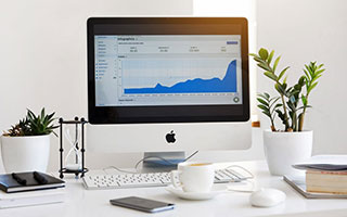 哪些水培植物能和鱼共养，互惠共生？