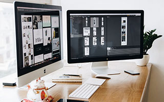 紫色盆栽植物有哪些？