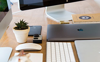 筒叶花月多肉白点是病害还是正常？