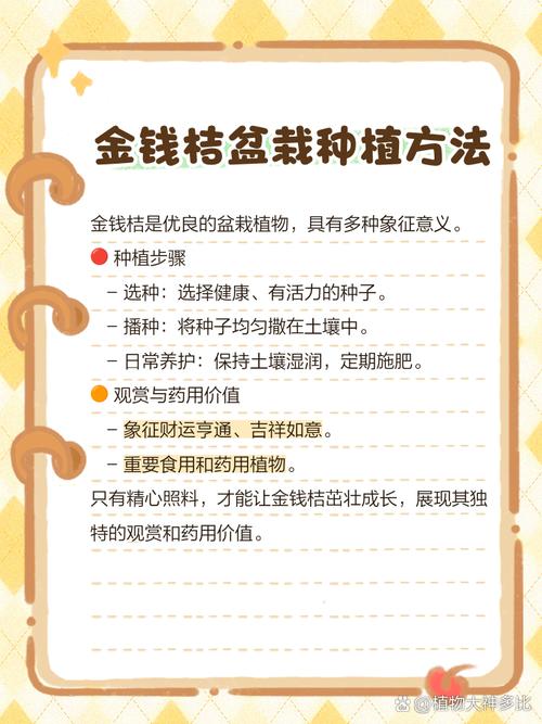 盆栽小金桔何时结果?-第2张图片-吾爱花网 盆栽小金桔何时结果?-第2张图片-吾爱花网