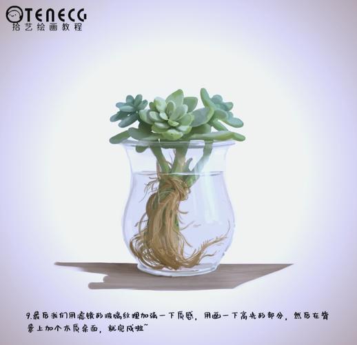 如何让多肉放在水里生根-第2张图片-吾爱花网