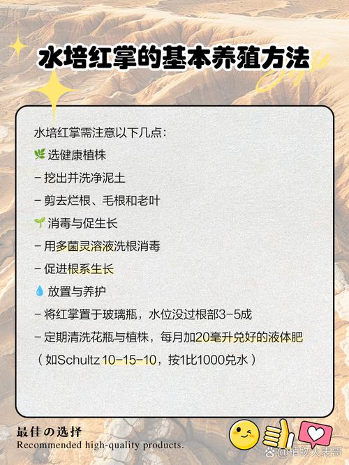 水培红掌加营养液可行吗?-第2张图片-吾爱花网 水培红掌加营养液可行吗?-第2张图片-吾爱花网