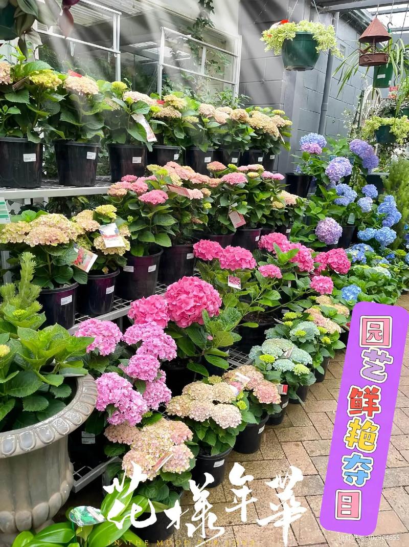 营养液都能用于水培吗?-第2张图片-吾爱花网 营养液都能用于水培吗?-第2张图片-吾爱花网