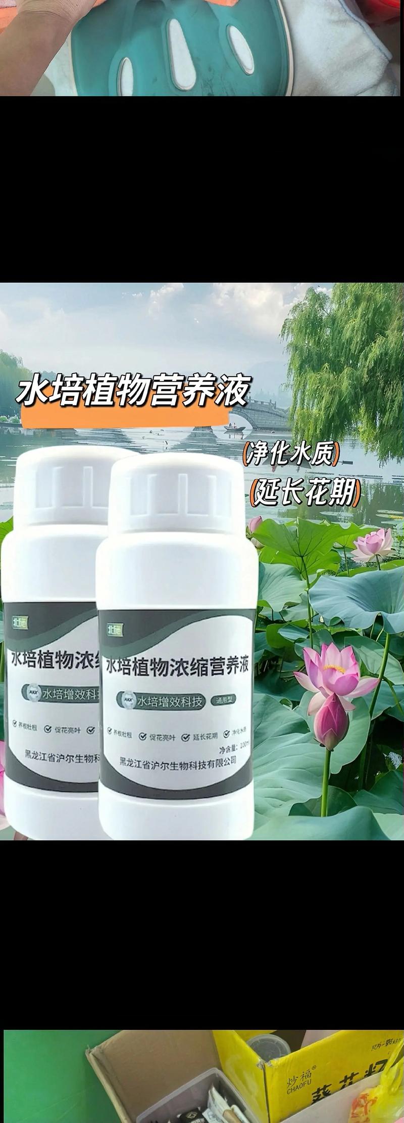 营养液都能用于水培吗?-第1张图片-吾爱花网 营养液都能用于水培吗?-第1张图片-吾爱花网