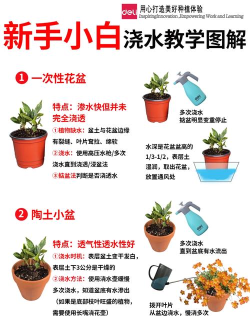 盆栽花卉如何判断该浇水?-第1张图片-吾爱花网 盆栽花卉如何判断该浇水?-第1张图片-吾爱花网