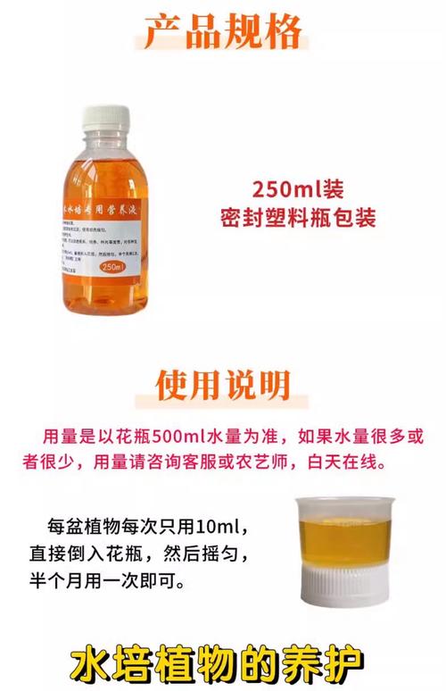 水培绿萝必须加营养液吗?-第1张图片-吾爱花网 水培绿萝必须加营养液吗?-第1张图片-吾爱花网