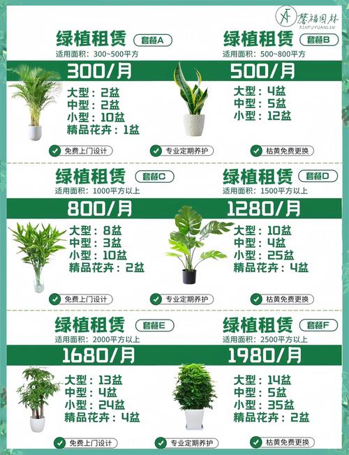 绿植盆栽租赁电话哪里找?-第1张图片-吾爱花网 绿植盆栽租赁电话哪里找?-第1张图片-吾爱花网