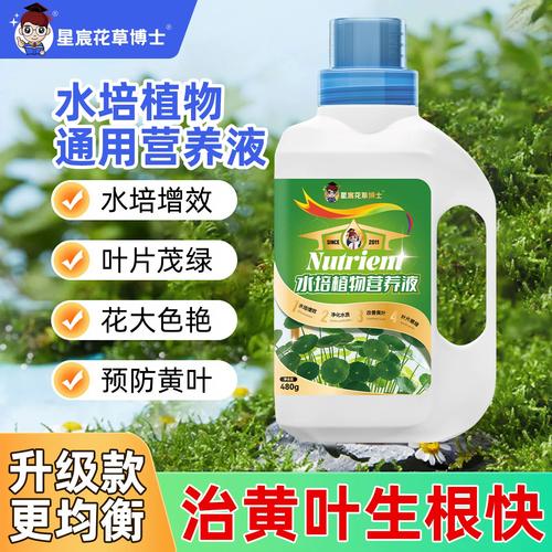 水培花营养液滴几滴才合适?-第1张图片-吾爱花网 水培花营养液滴几滴才合适?-第1张图片-吾爱花网