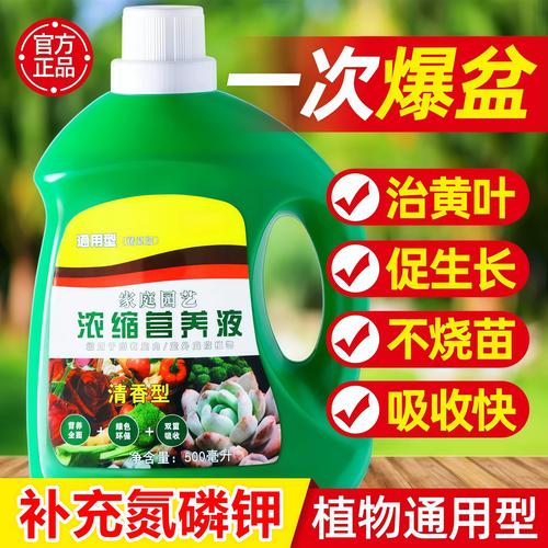 绿萝水培营养液哪款好？-第3张图片-吾爱花网