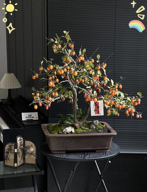 夏季老鸦柿盆栽浇水光照要注意啥？-第2张图片-吾爱花网