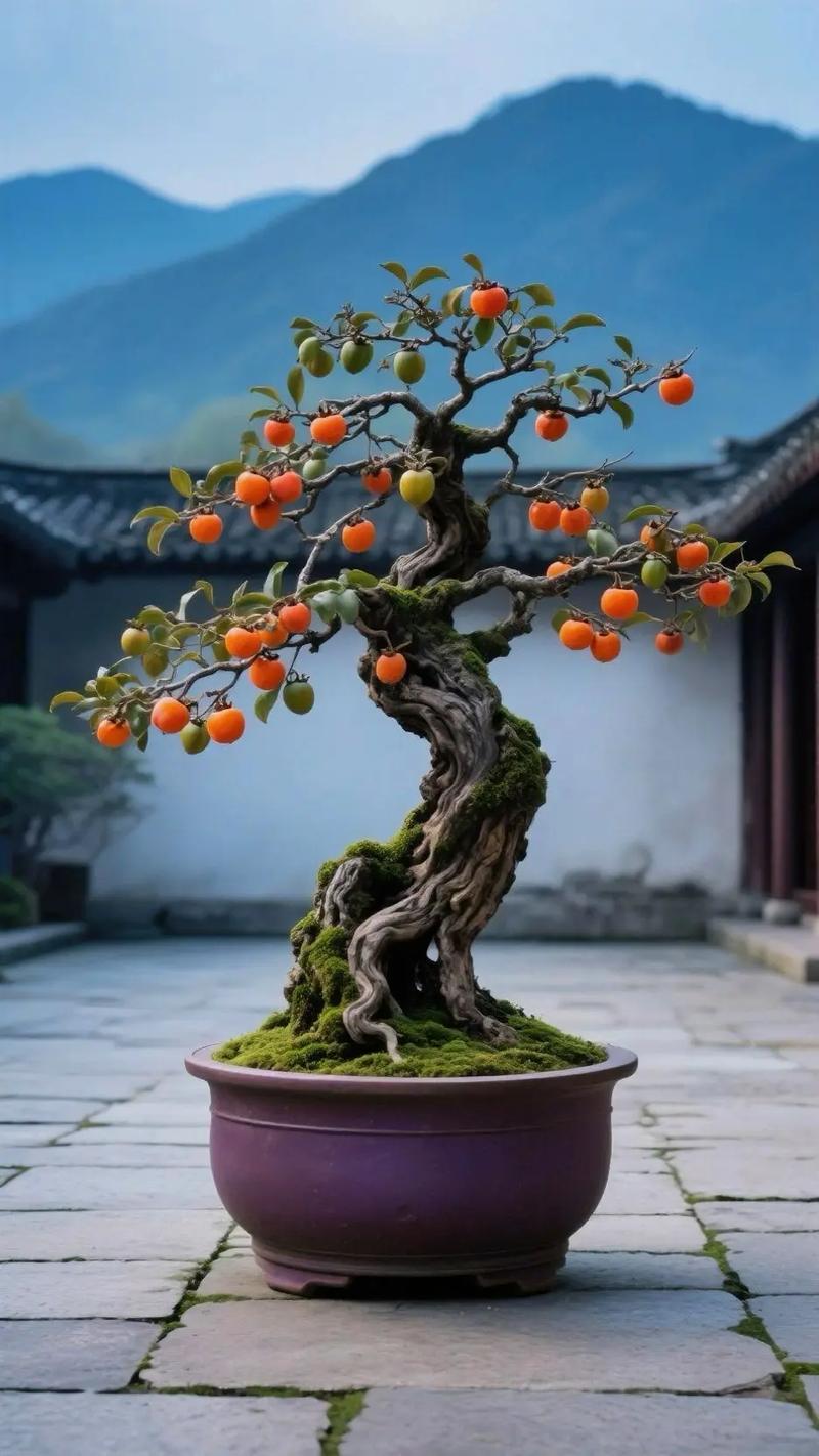 夏季老鸦柿盆栽浇水光照要注意啥？-第3张图片-吾爱花网