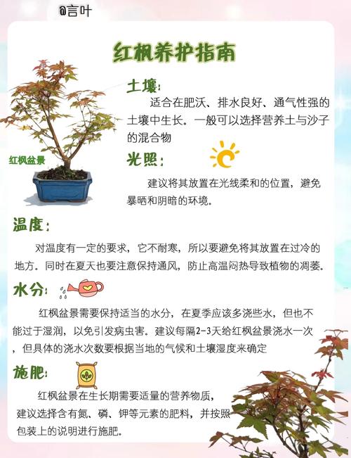 红叶盆栽叫什么?附图片识别?-第3张图片-吾爱花网 红叶盆栽叫什么?附图片识别?-第3张图片-吾爱花网