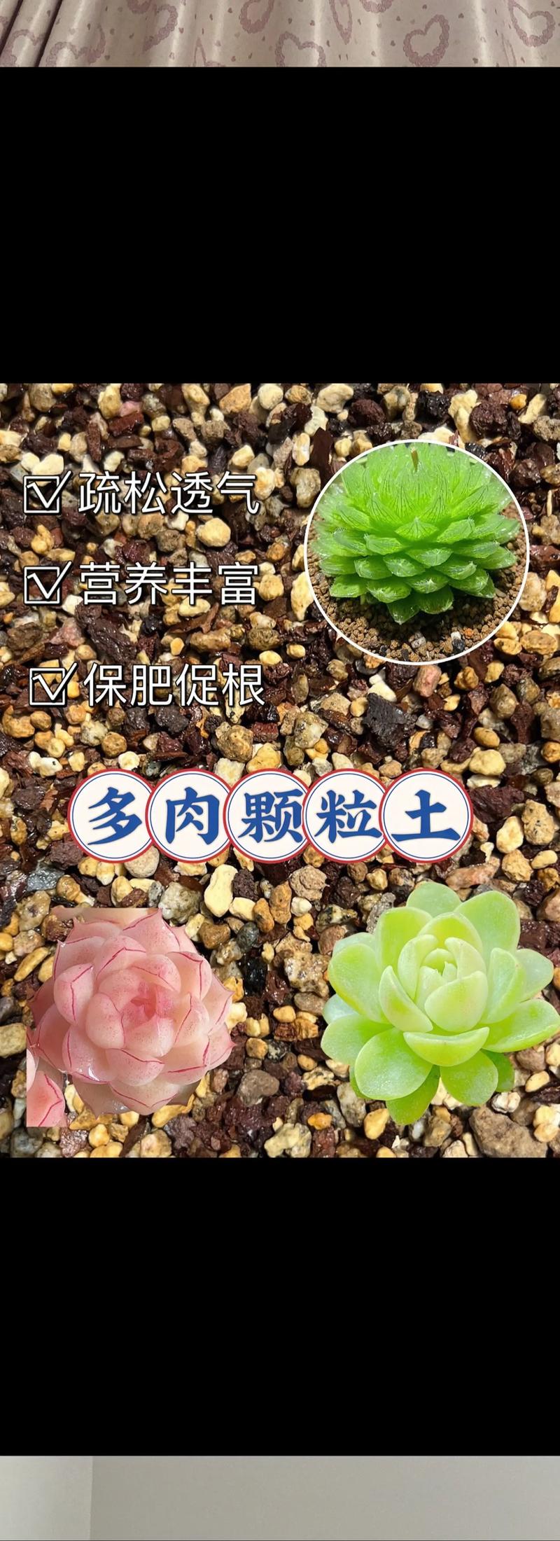 多肉泥土厚了会影响生长吗?-第2张图片-吾爱花网 多肉泥土厚了会影响生长吗?-第2张图片-吾爱花网