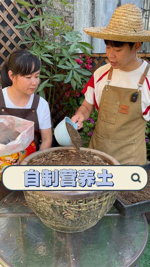 盆栽自制培养土，怎么配才好？-第2张图片-吾爱花网