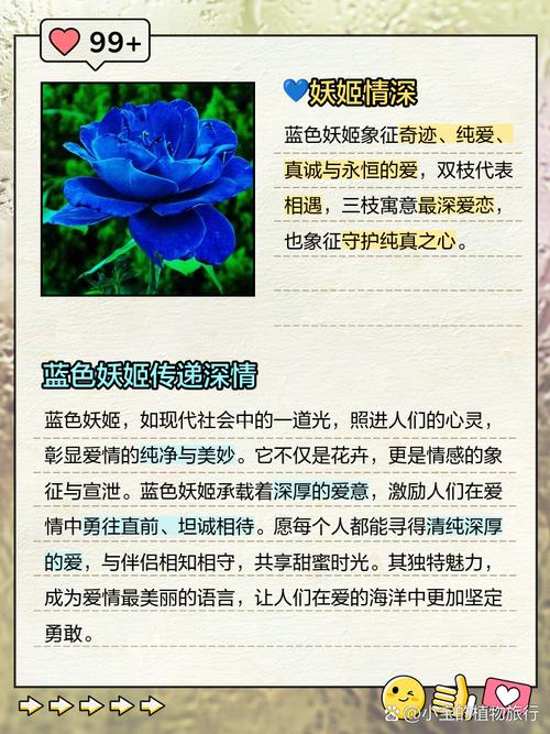 蓝色妖姬盆栽图片的花语是什么?-第1张图片-吾爱花网 蓝色妖姬盆栽图片的花语是什么?-第1张图片-吾爱花网