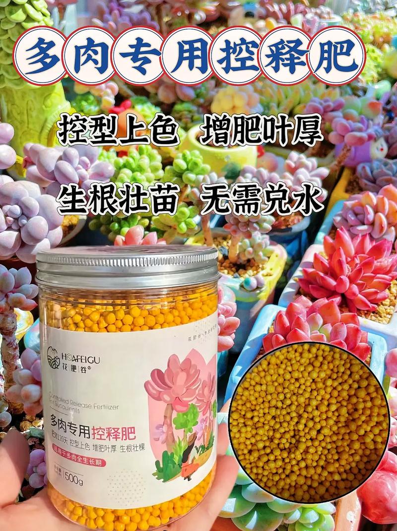 多肉肥料能直接撒土面吗？-第1张图片-吾爱花网