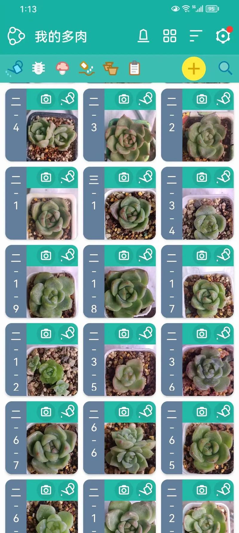 多肉小苗几天可晒太阳?-第2张图片-吾爱花网 多肉小苗几天可晒太阳?-第2张图片-吾爱花网