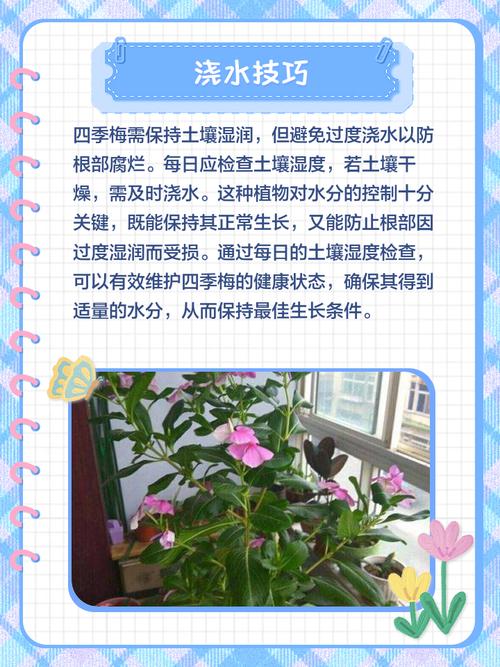 盆栽梅花花后该不该施肥?-第1张图片-吾爱花网 盆栽梅花花后该不该施肥?-第1张图片-吾爱花网