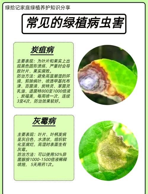 盆栽很多小虫是什么原因-第1张图片-吾爱花网 盆栽很多小虫是什么原因-第1张图片-吾爱花网