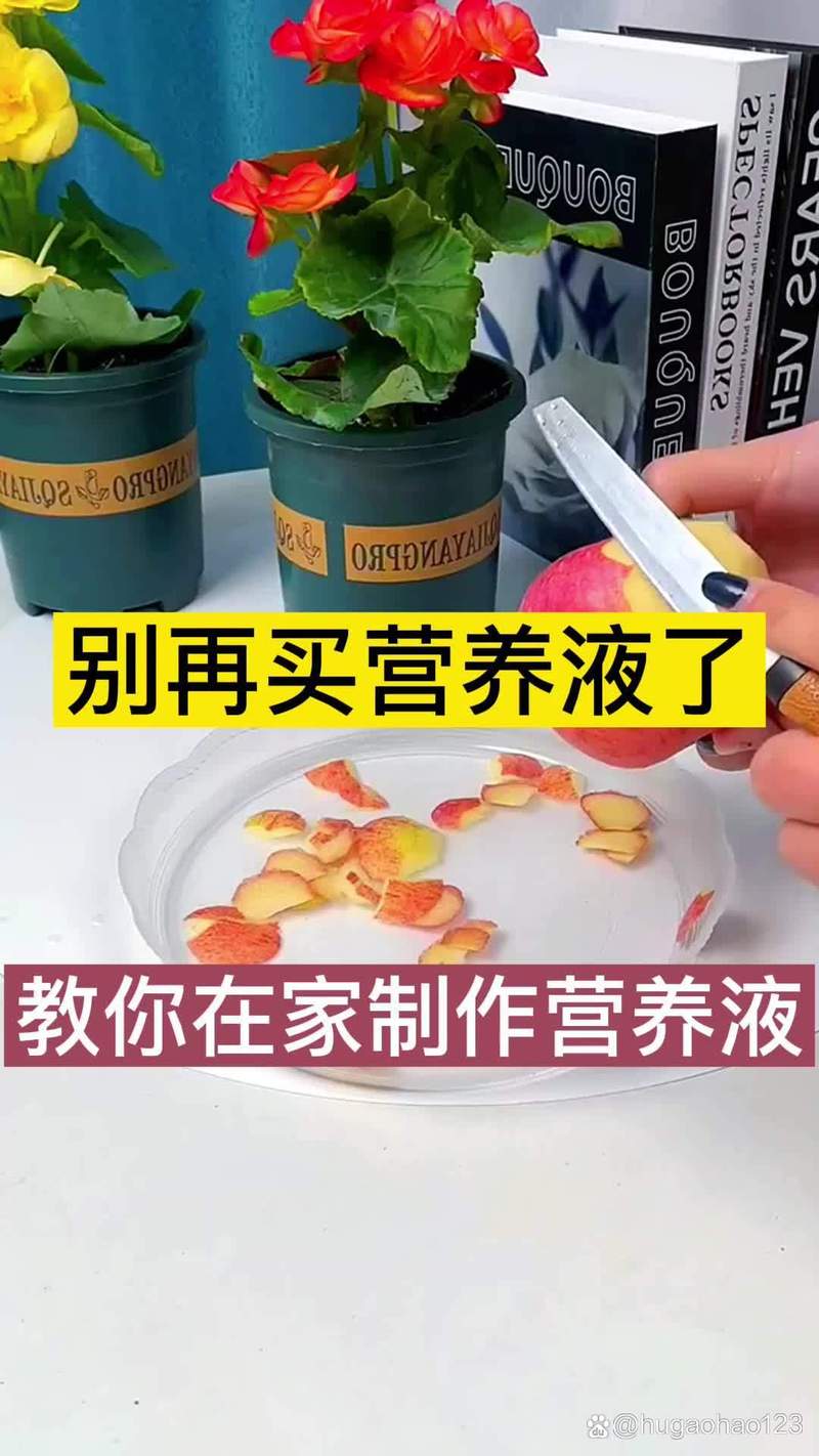 水培绿萝营养液自己怎么做？-第1张图片-吾爱花网