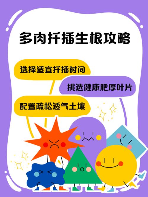 多肉夏季扦插多久能生根？-第2张图片-吾爱花网