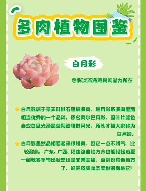 多肉几月才能正常浇水？-第1张图片-吾爱花网