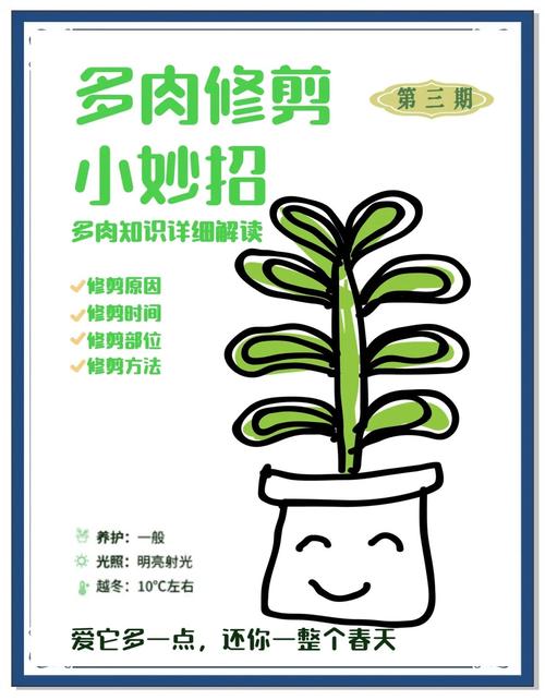 多肉徒长叶少怎么剪？-第1张图片-吾爱花网