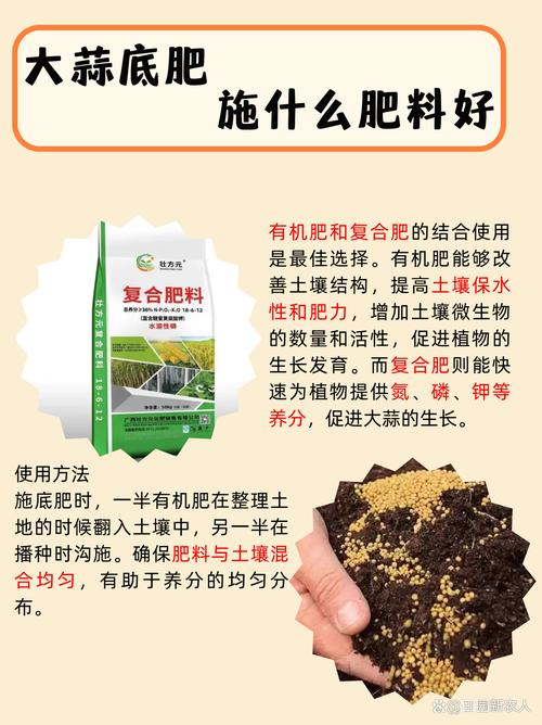 盆栽大蒜肥料选哪种最好?-第3张图片-吾爱花网 盆栽大蒜肥料选哪种最好?-第3张图片-吾爱花网