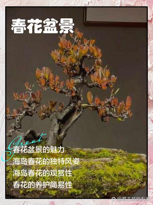 花卉组合盆栽方法如何优化搭配与养护?-第3张图片-吾爱花网 花卉组合盆栽方法如何优化搭配与养护?-第3张图片-吾爱花网