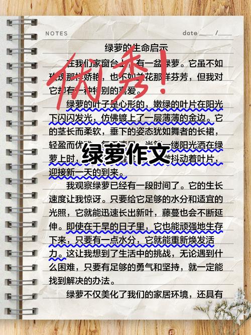 花卉组合盆栽方法如何优化搭配与养护?-第1张图片-吾爱花网 花卉组合盆栽方法如何优化搭配与养护?-第1张图片-吾爱花网