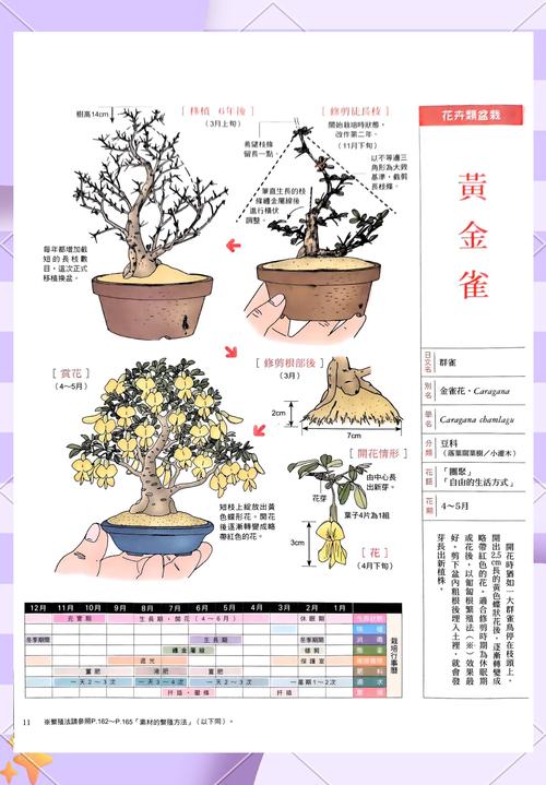 花卉组合盆栽方法如何优化搭配与养护?-第2张图片-吾爱花网 花卉组合盆栽方法如何优化搭配与养护?-第2张图片-吾爱花网