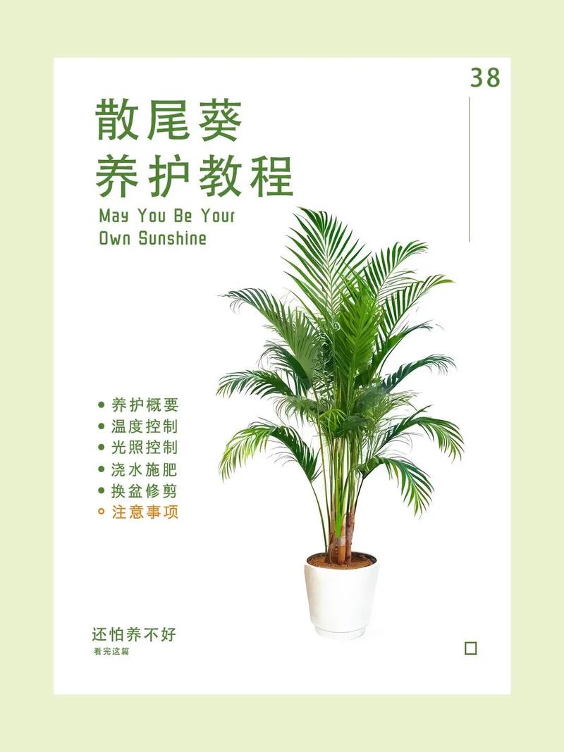 室内大盆栽养殖技术要点有哪些?-第1张图片-吾爱花网 室内大盆栽养殖技术要点有哪些?-第1张图片-吾爱花网