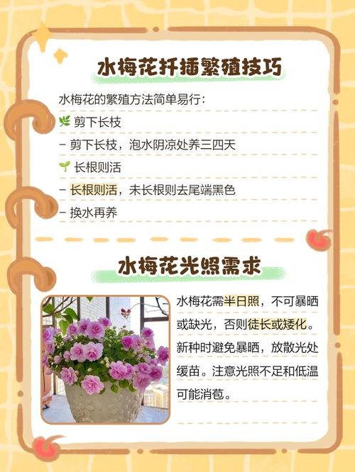 盆栽红梅冬季怎么养才能安全过冬？-第3张图片-吾爱花网