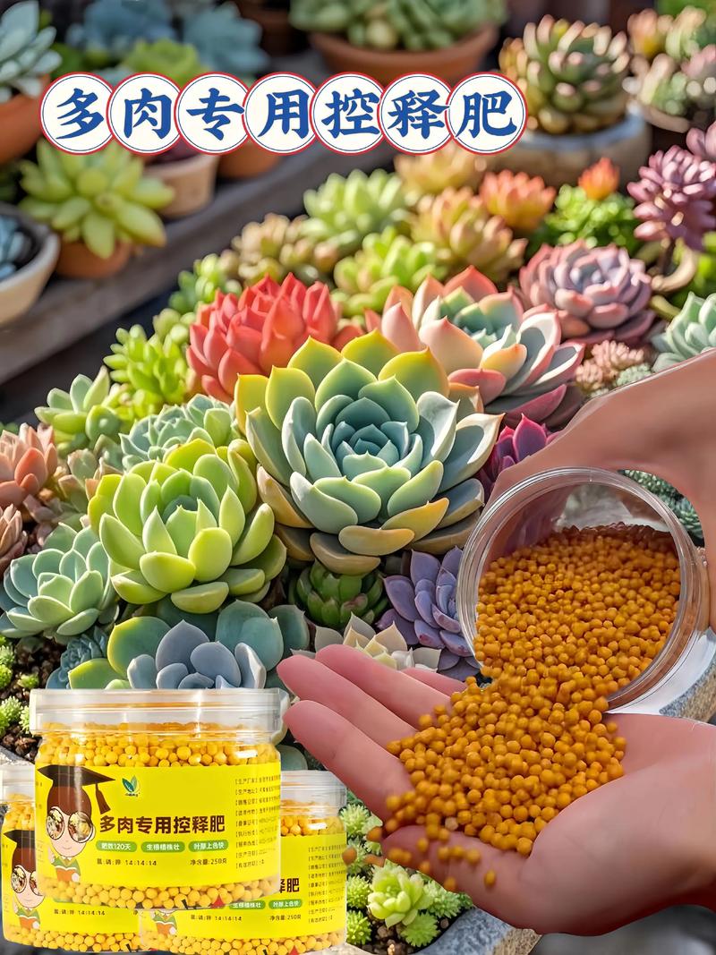 多肉肥料能铺表面吗?-第3张图片-吾爱花网 多肉肥料能铺表面吗?-第3张图片-吾爱花网