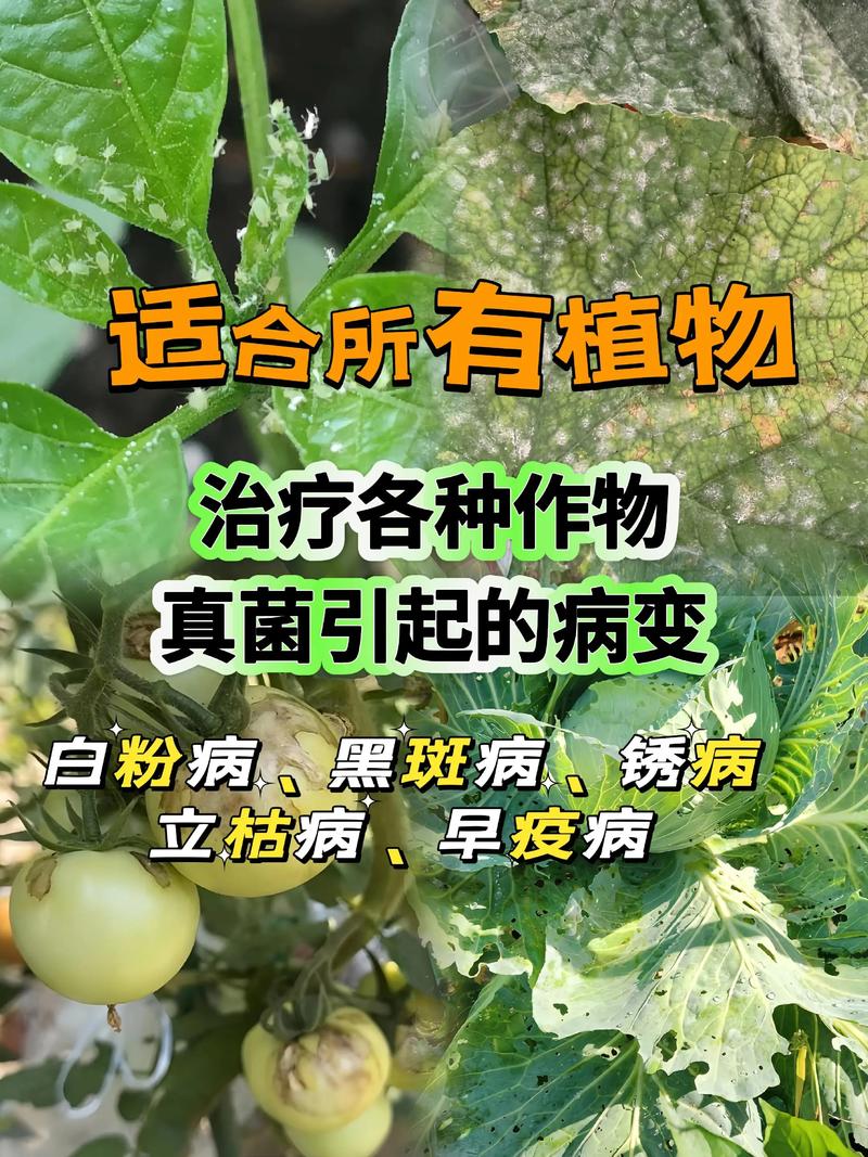 冬天多肉用不用浇多菌灵?-第1张图片-吾爱花网 冬天多肉用不用浇多菌灵?-第1张图片-吾爱花网