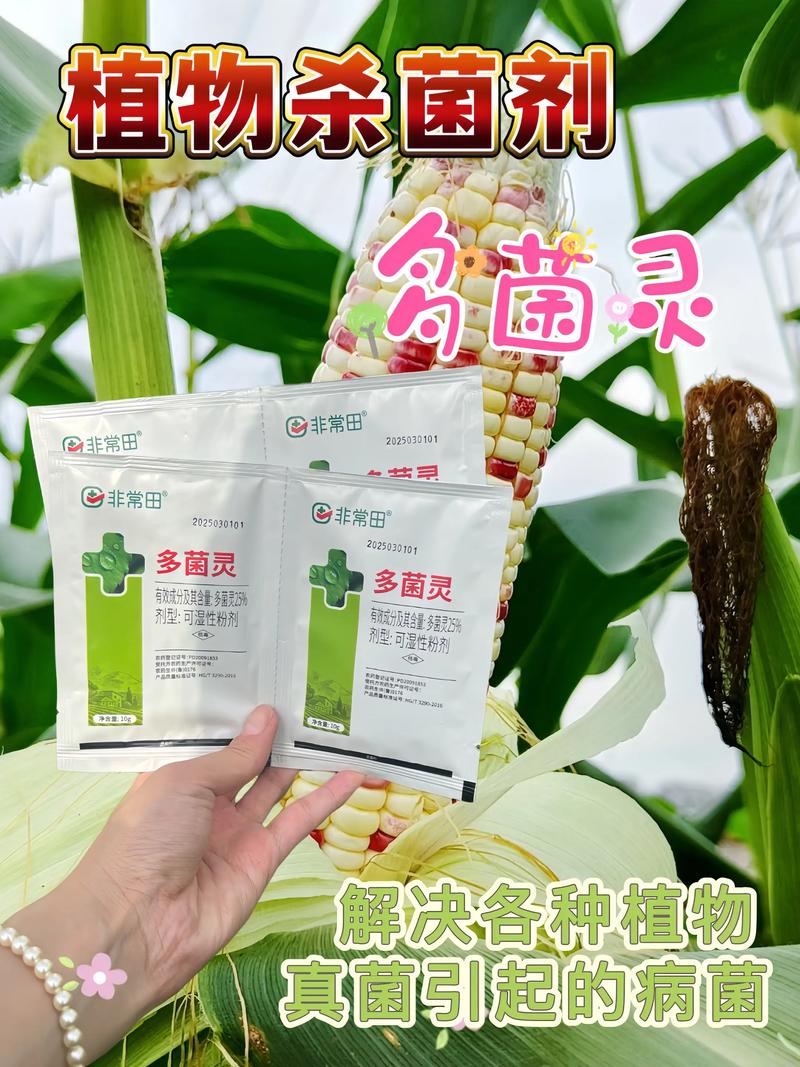 冬天多肉用不用浇多菌灵?-第2张图片-吾爱花网 冬天多肉用不用浇多菌灵?-第2张图片-吾爱花网