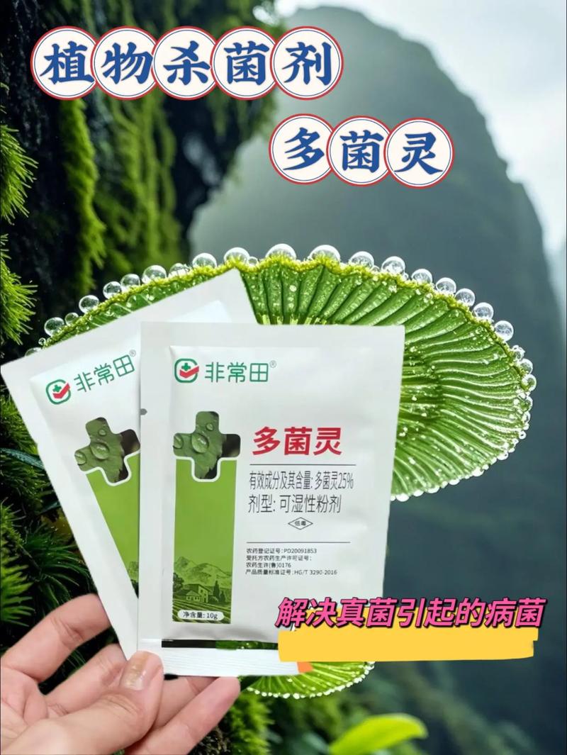 冬天多肉用不用浇多菌灵?-第3张图片-吾爱花网 冬天多肉用不用浇多菌灵?-第3张图片-吾爱花网
