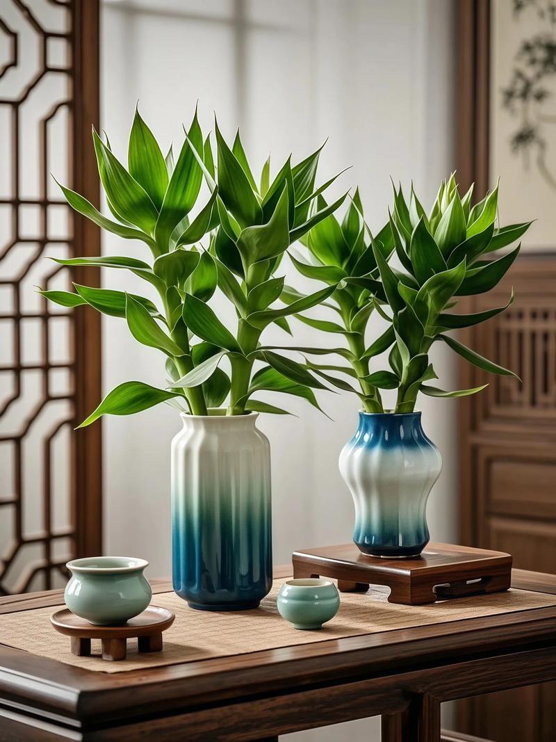 观音竹水培方法能剪根吗-第2张图片-吾爱花网 观音竹水培方法能剪根吗-第2张图片-吾爱花网