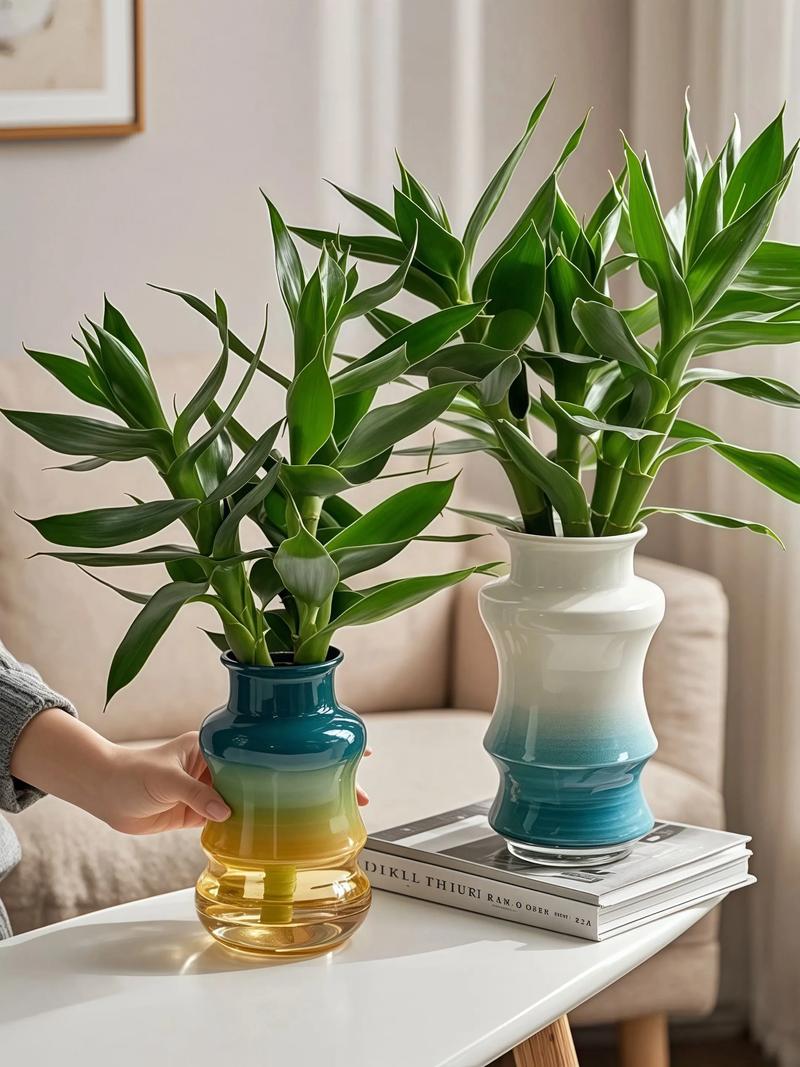 观音竹水培方法能剪根吗-第1张图片-吾爱花网 观音竹水培方法能剪根吗-第1张图片-吾爱花网