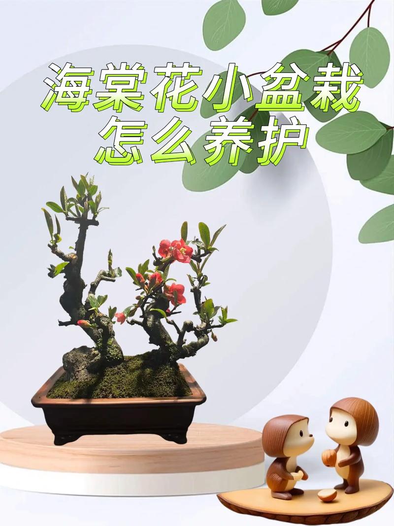 盆栽海棠如何促花多开?-第1张图片-吾爱花网 盆栽海棠如何促花多开?-第1张图片-吾爱花网