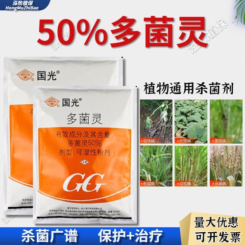 多肉黑腐用多菌灵怎么治?-第3张图片-吾爱花网 多肉黑腐用多菌灵怎么治?-第3张图片-吾爱花网
