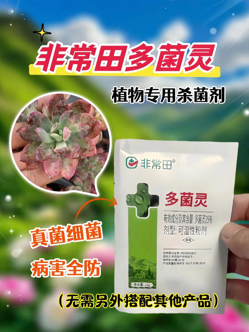 多肉多菌灵用多了会怎样-第1张图片-吾爱花网 多肉多菌灵用多了会怎样-第1张图片-吾爱花网