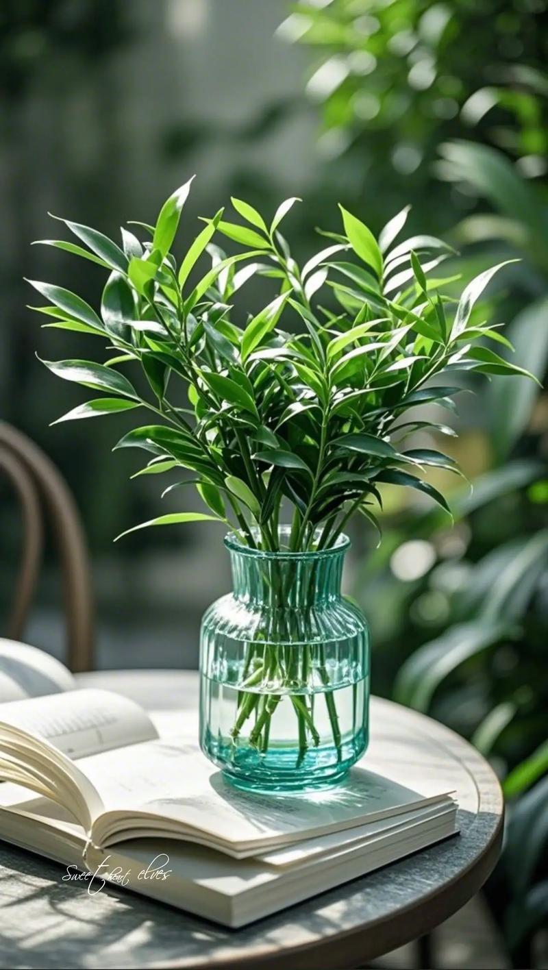 哪种室内盆栽驱蚊效果最好?-第2张图片-吾爱花网 哪种室内盆栽驱蚊效果最好?-第2张图片-吾爱花网