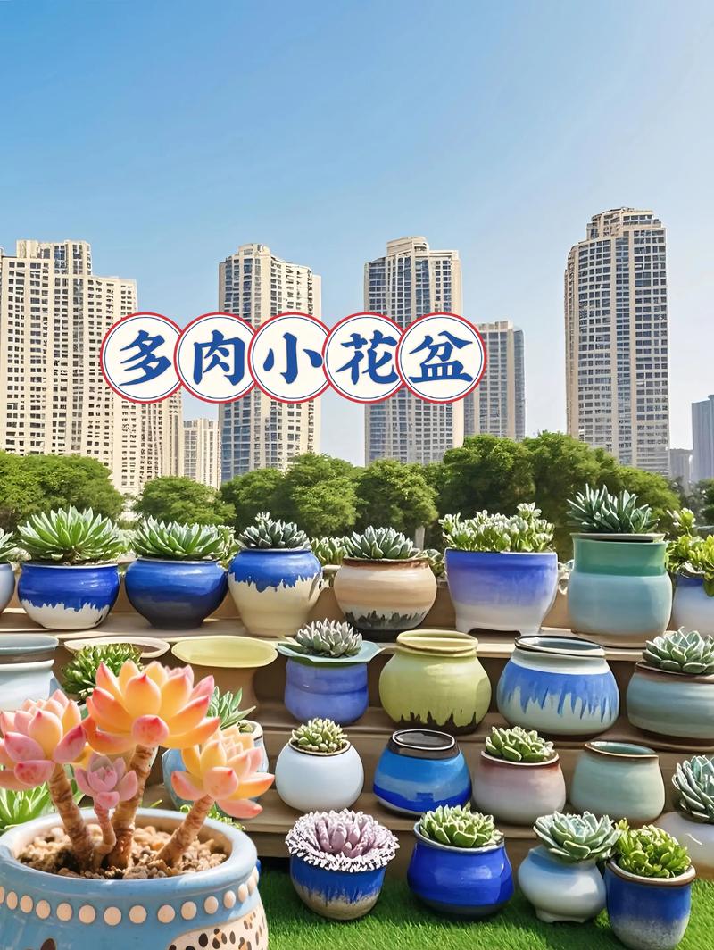多肉小花盆如何养好多肉-第1张图片-吾爱花网