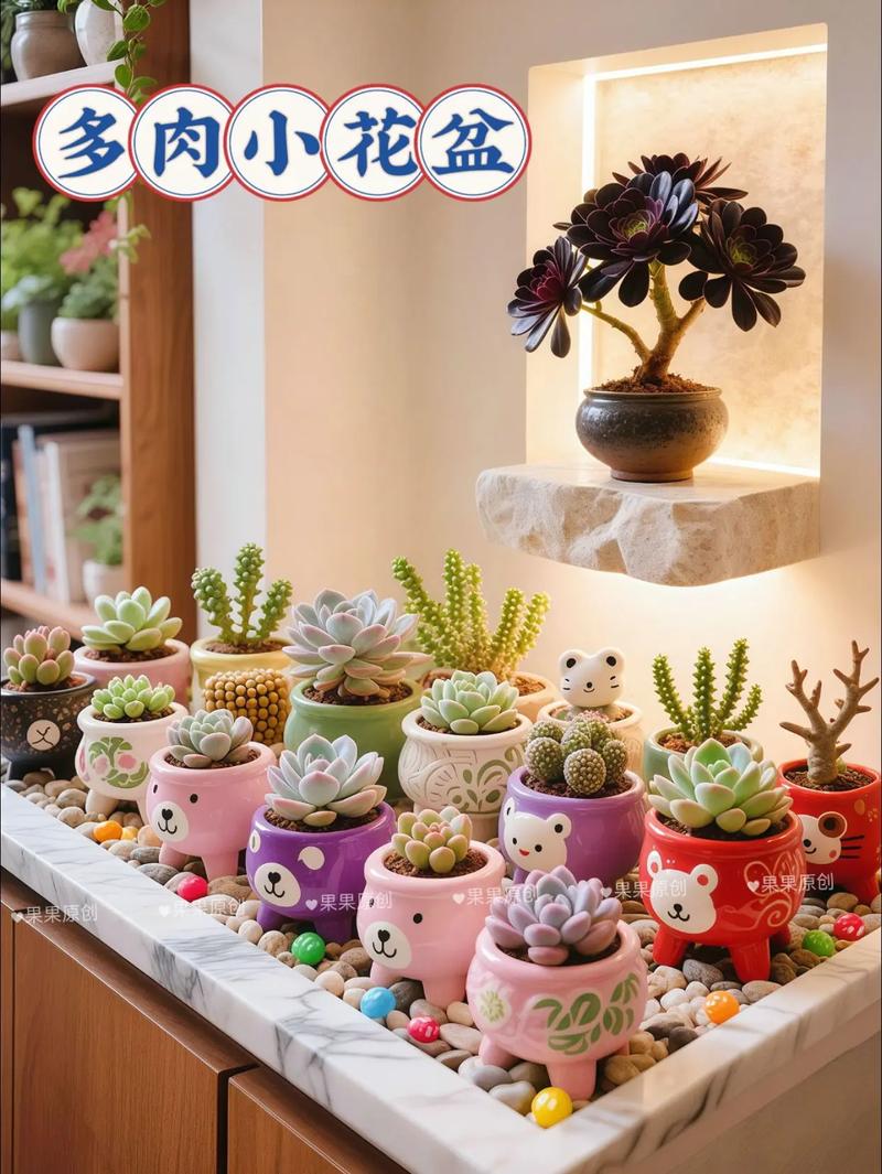 多肉小花盆如何养好多肉-第3张图片-吾爱花网
