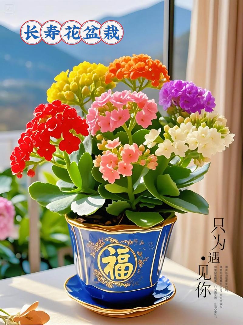 盆栽观赏花图片大全有哪些？-第1张图片-吾爱花网