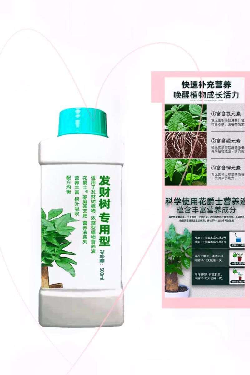 水培发财树用什么肥?怎么施肥?-第1张图片-吾爱花网 水培发财树用什么肥?怎么施肥?-第1张图片-吾爱花网