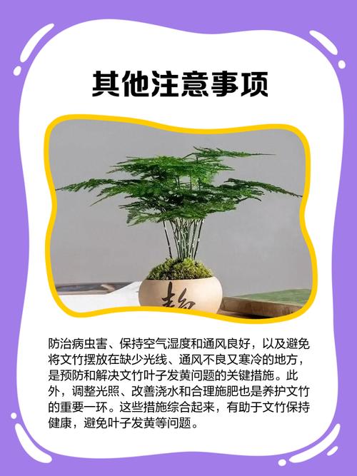 水培竹子叶发黄怎么办?-第2张图片-吾爱花网 水培竹子叶发黄怎么办?-第2张图片-吾爱花网